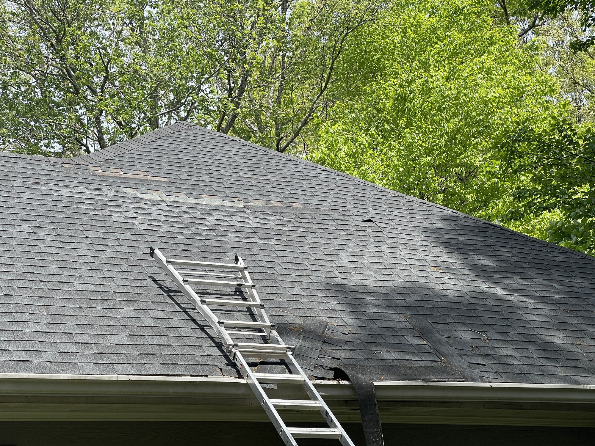 Hip slope with inspection ladder. Multiple missing and slid shingle courses below the ridge, torn underlayment hanging over the gutter at the eave.