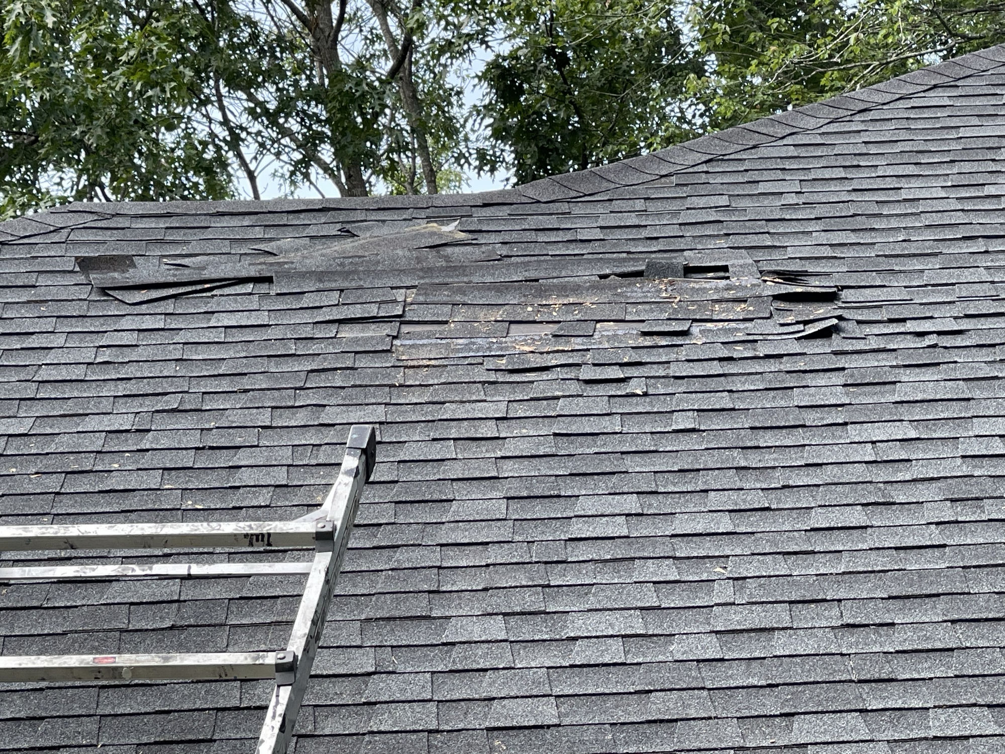 Shingles slid out of their courses, exposing bare decking. The signature of improper fastening, not storm damage.